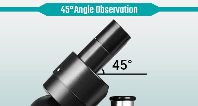 Mounted Binocular Stereo Microscope