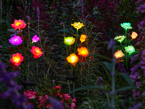 solar yard lights