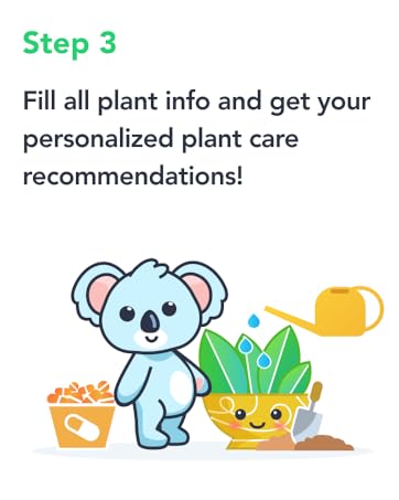 plant care; flora; florasense; spray mist bottle; water plants; plant mister; plant misters inside