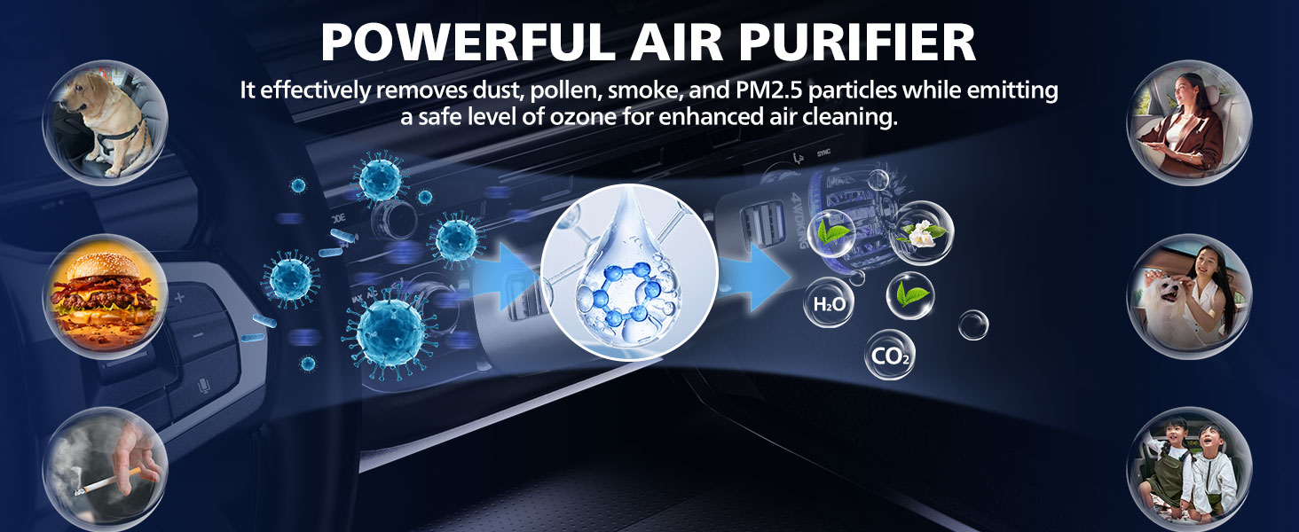 Car Air Freshener Eliminates Odor