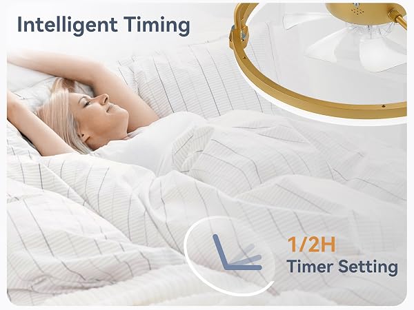 bedroom ceiling fan