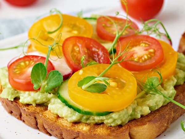 ROTER MOND 2 SLICE TOASTER