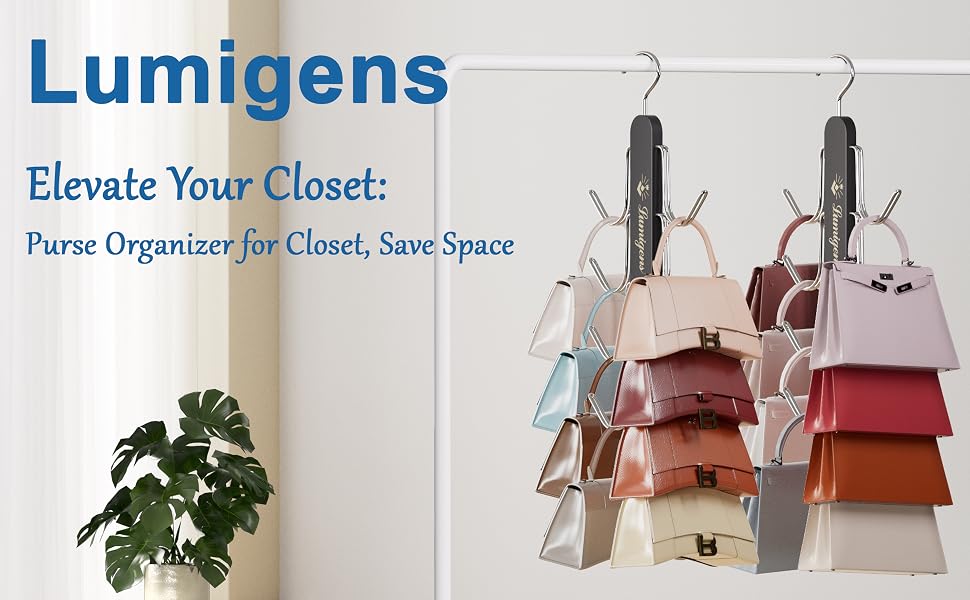 purse organizer for closet