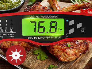 Meat Thermometer