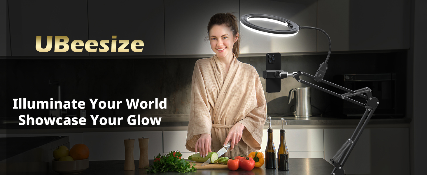 overhead phone mount