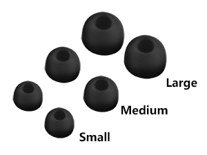 Replaceable earplugs