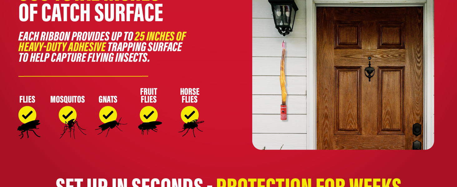 Catchmaster ribbon trap targets flies, mosquitoes, gnats, fruit flies, and drain flies.