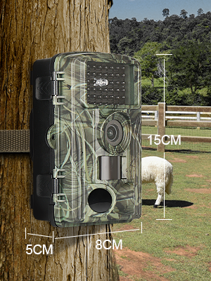 trail cam