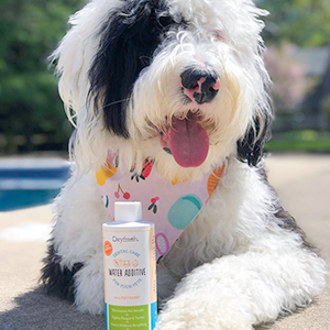 Our unique combination of Oxygene and zinc will send dog bad breath straight to the doghouse. 
