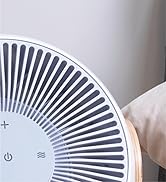 Breez Smart Bedroom Fan
