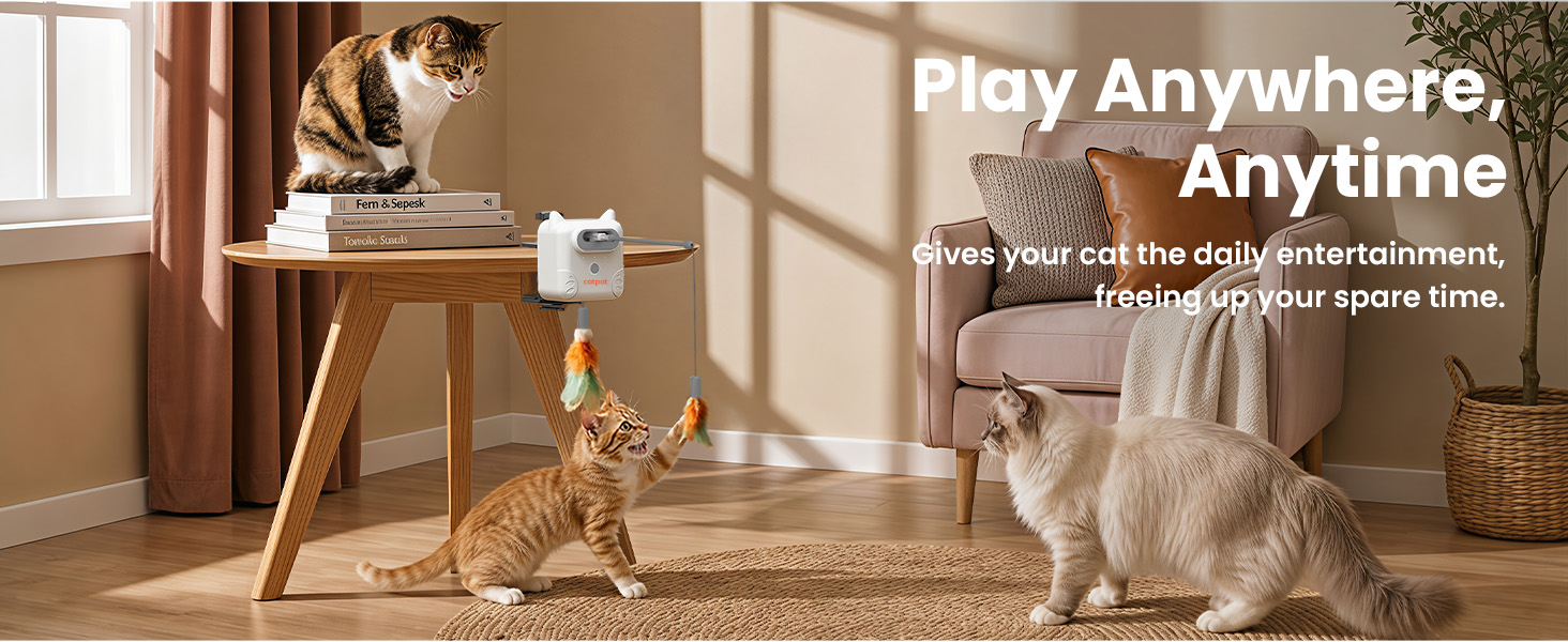 cat toy 611-1