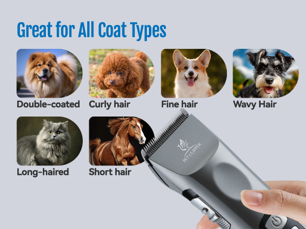 cordless clipper