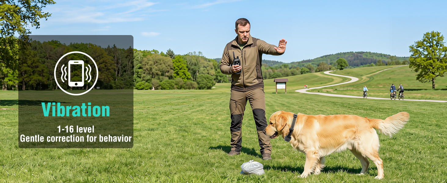 dog training collar with remote
