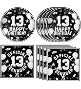 13th Birthday Party Supplies Black Themed 13th Disposable Tableware Decorations Plates Napkins Se...