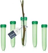 Royal Imports Floral Water Tubes with Caps – 3" Green Plastic Flower Vials for Single Stem Roses,...