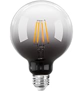 ONEWISH LED Light Bulb, G95 LED Globe Bulbs, Warm White 300LM 2700K 4W, 35W Equivalent, E26 Stand...
