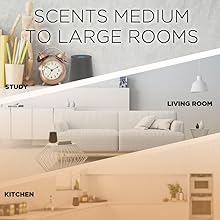 Scents medium to large rooms