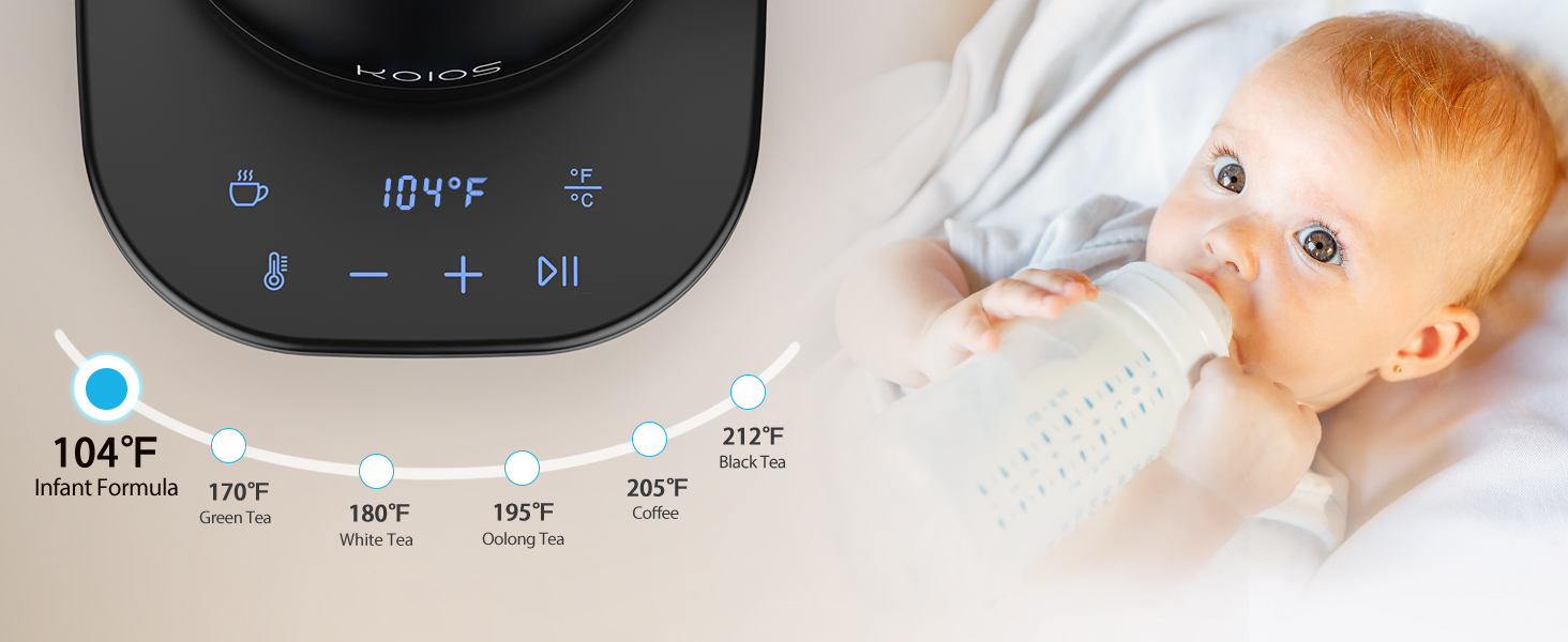 temperature control tea kettle 