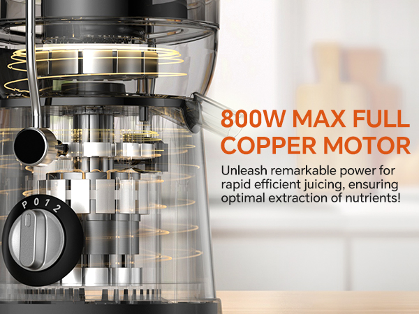 800W MAX FULL COPPER MOTOR