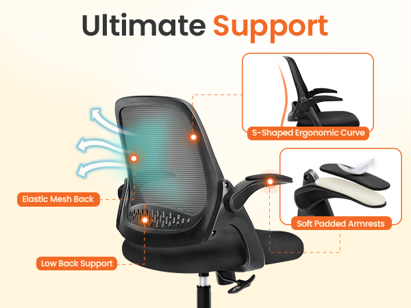 Ergonomic Chair with Comprehensive Support