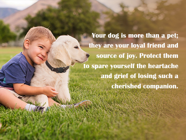 item finder with pet collar