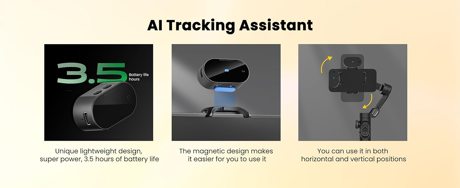 AI Tracking Assistant