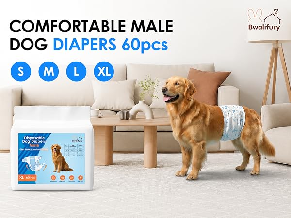 COMFORTABLE MALEDOG DIAPERS 6OpCS