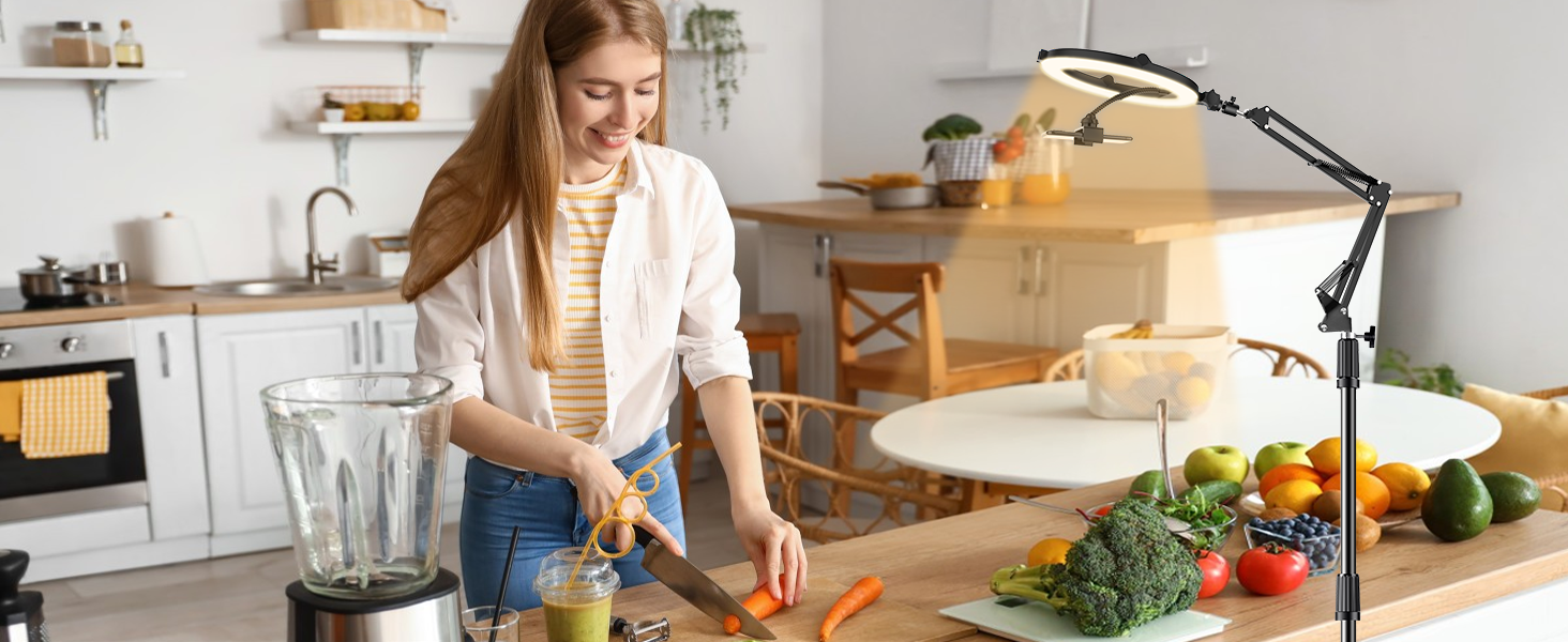 overhead phone mount with light