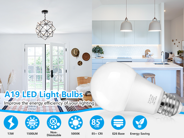 100 watt led light bulb