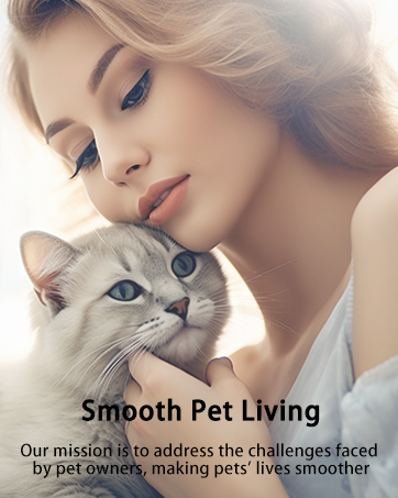 automatic cat feeder with camera