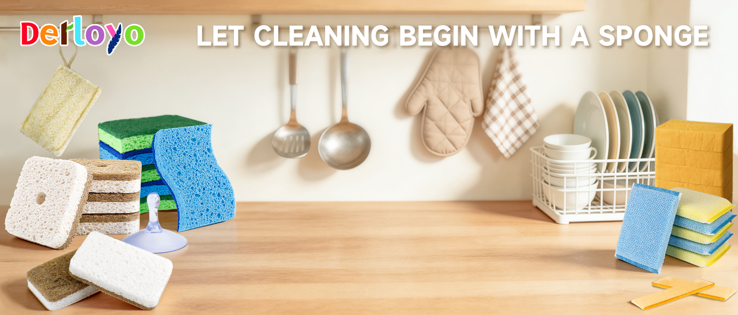 Kitchen Sponge