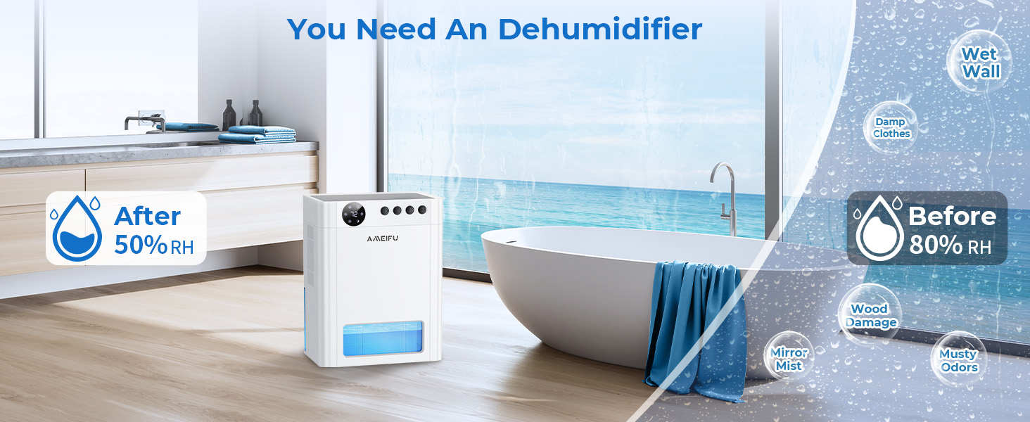 Dehumidifier