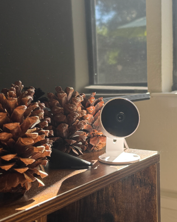 Small white circular indoor security camera on wooden surface near window, with large pinecones in foreground. Camera features a dark lens and appears to be plugged in.