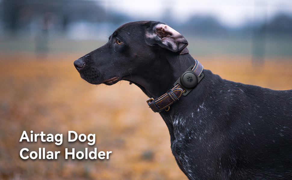Airtag Dog Collar Holder