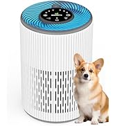 Air Purifiers for Home Bedroom with Aromatherapy, DAYETTE H13 True HEPA Air Purifier up to1300 Sq...