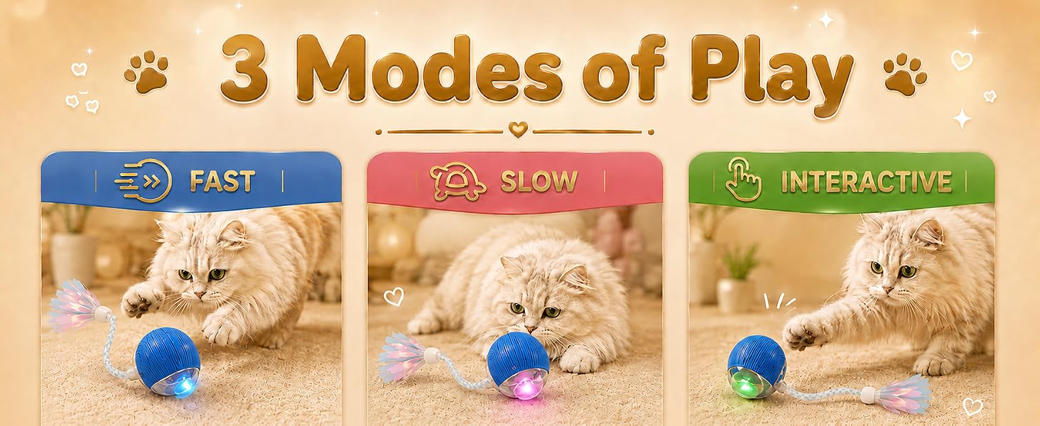 3 modes of play , fast, slow, interactive