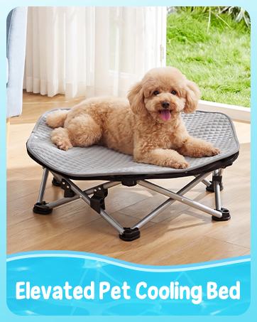 Pecute Pet Brush