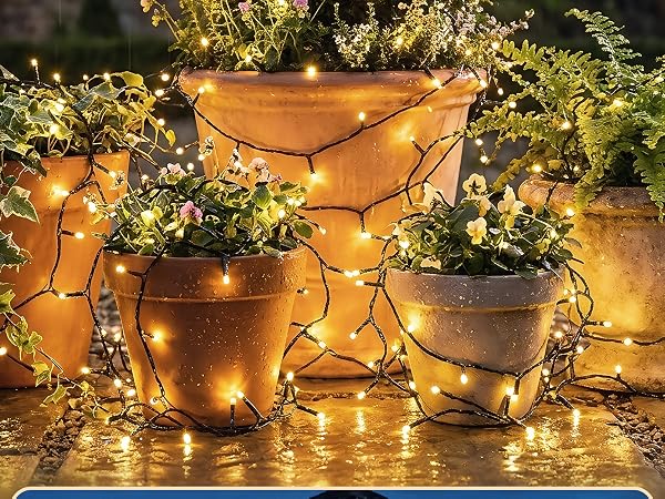 solar string lights