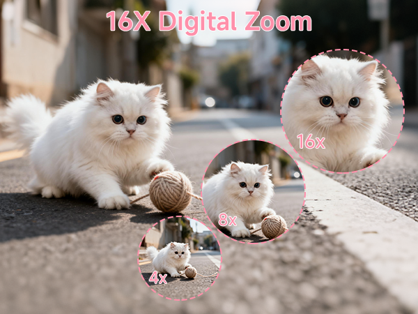 16x digital zoom