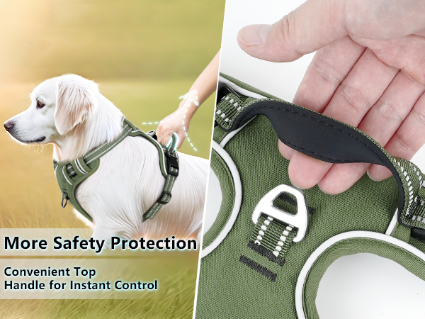 dog harness midium size dog