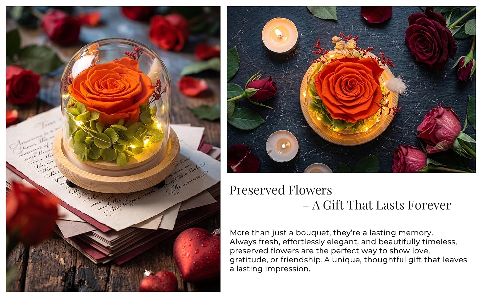 forever roses