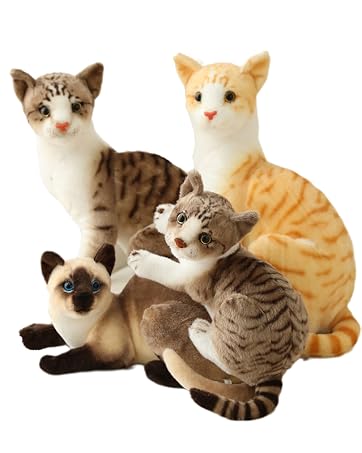Cat Family