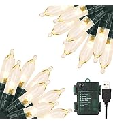 Green Convenience Christmas Lights 33ft 100 LED Battery String Lights with Timer Memory Function ...
