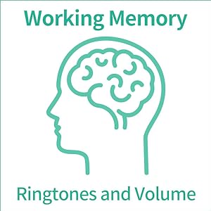 working memory