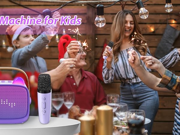 mini karaoke machine with 2 mic