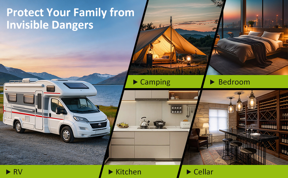 Portable TravelCarbon Monoxide Detector