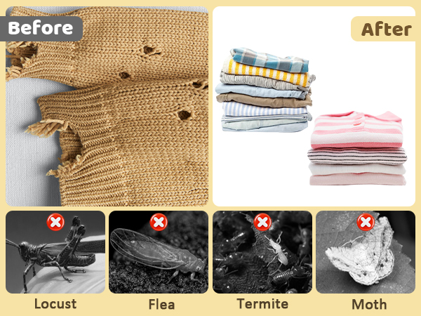 moth repellent for closets