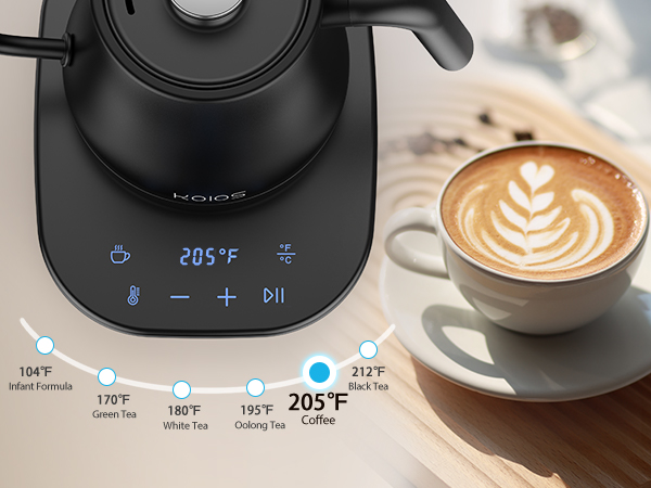 gooseneck ketle electric