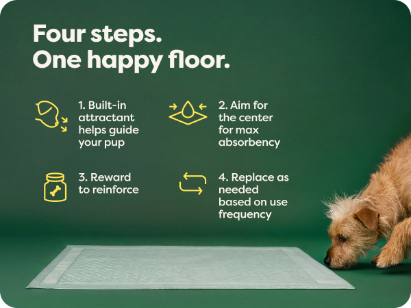 Training pee pads