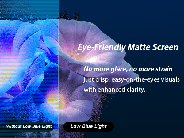 low blue light portable monitor